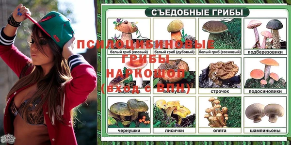 2c-b Бородино