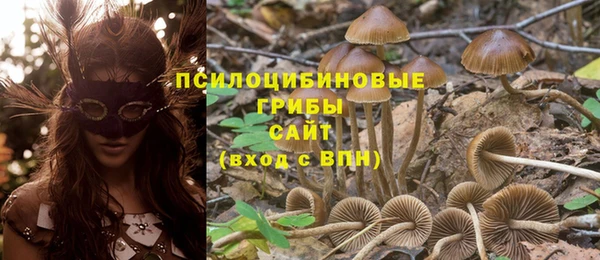 гашик Богородск
