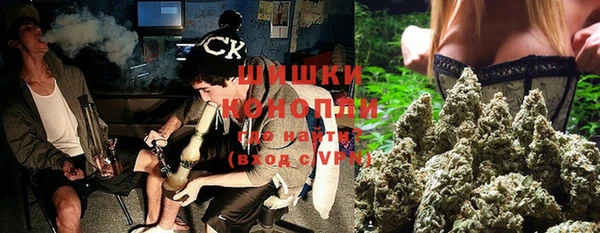 2c-b Бородино