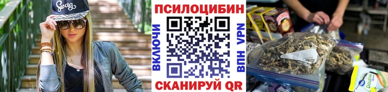 наркота Челябинск блэк спрут ссылки мориарти состав Галлюциногенные грибы Psilocybe